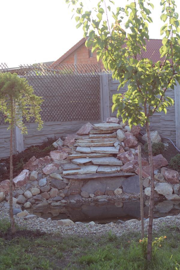 Becicherecu Mic Pensiunea Gradina Verde المظهر الخارجي الصورة